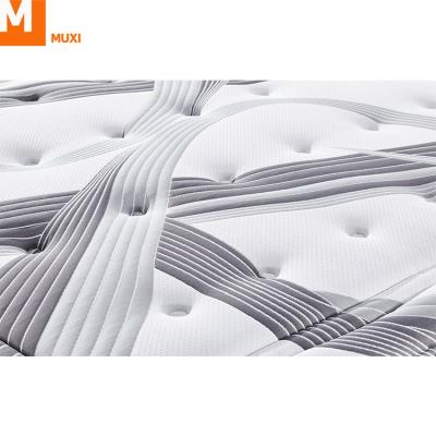 China Comfortable Healthy Lifestyles/Strength/Toughness Coil Foam Mattress Bed Topper Roll 3 Pocket Box Spring In A Modern Box Luxury Bedroom Mattress Pad for sale