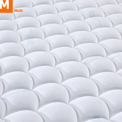 China Hot Selling Superior King Koil Price Single Kurlon Angelica Pocket Spring Mattress Comfortable/Strength/Tenacity John Lewi Cot Joseph Sultan Pillow Series 3000 for sale