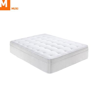 China Comfortable/Strength/Tenacity Environmental Protection Memory Top Sponge Rubber Well Bed Mattress Hot Selling for sale