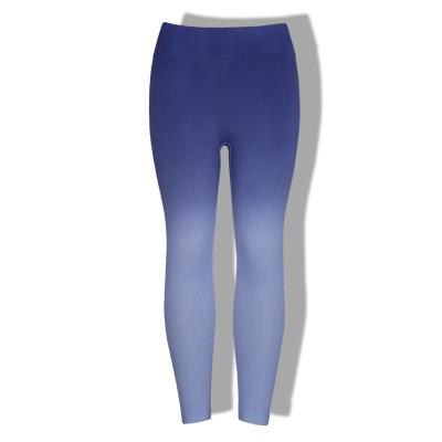 China Plus Size Supplier ECHT NVGTN Recycled Material Seamless Tights Clothes Sports Women Gym Blue Check Through Leggings for sale