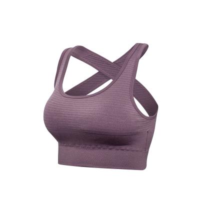 China Booty Workout Gym Women Gym Women Fabric Waist Sports Breathable Recycled Seamless Bra Crack! crack! wholesale high fitness yoga bra for sale