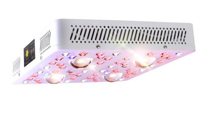 Cina Lle luci progressive da 400 watt LED con il temporizzatore Systerm, lente secondaria 90°, sospendere montata in vendita