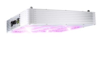 China 420W LED crecen el panel, espectro completo, luz vegetativa, luz floreciente en venta