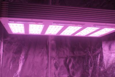 China diodo emissor de luz de 1.5g/watt 630W que cresce claro com espectro completo para o crescimento de plantas à venda