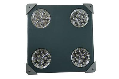 China 6500LM IP66 60Watt   LEDs LED Canopy Lights IP66 5 Years Warranty explosion proof for sale