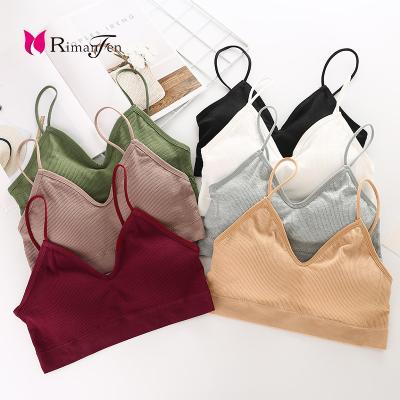 China Wholesale Fashion Seamless Comfort Back Striped Bra Removable Design Lift Up Cup Bra For Pretty Girl for sale