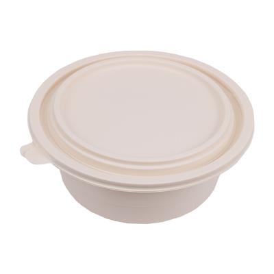 China 600ML Eco-friendly Microwavable New Box Cornstarch Biodegradable Food Container for sale