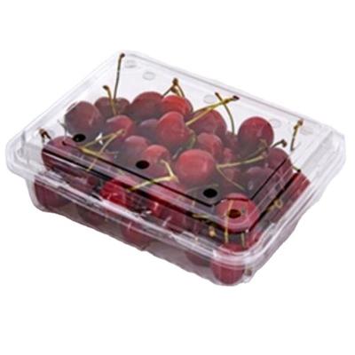 China Fruit Salad Box Manufacturer Disposable Plastic Salad Fruit Container for sale