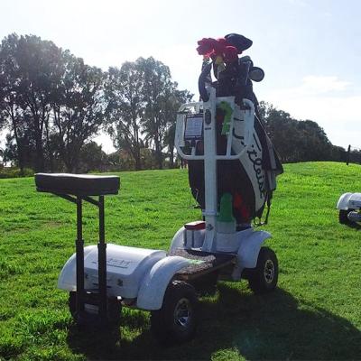 China 15years factory electric golf skate cart cart with GSC test report for sale