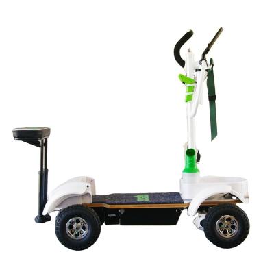 China Outdoor Golf Game Carts Cheap Golf Scooter Electric Golf Scooter for sale