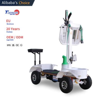 China > = 400 Times Electric New Arrival Success Product GSC Golf Cart Accessories Electric Carts with good price and potential for sale