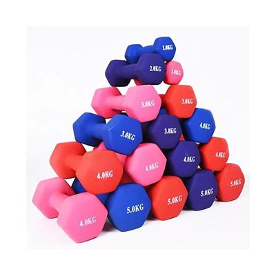 China Promotional Indoor Hex Dish Equipment Fitness Dumbbell 2021 Hex Dumbbell Rubber Books Color Rubber Covered For Exercise for sale