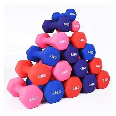 China Wholesale Colored Vinyl Workout Gym Dumbbell 2021 Coated Hex Dumbbell Neoprene Rubber Covered for sale