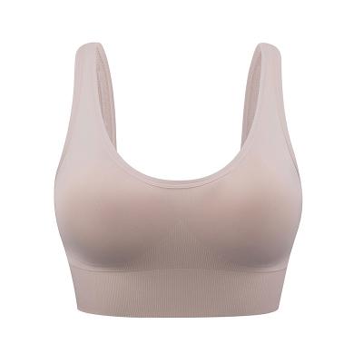 China High Quality QUICK DRY Seamless Back Closure Fitness Sports Bra Women Gym Women Yoga Yoga Bra Top Working Bra for sale