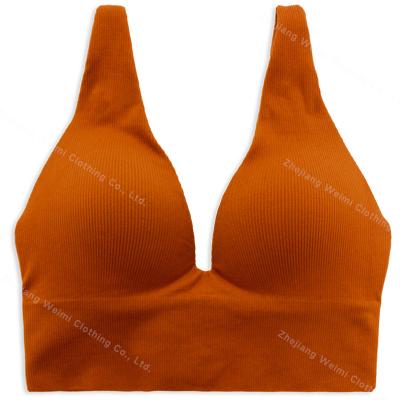 China 2023 QUICK DRY new design ribbed cup bra seamless soft and breathable large cup size bra running cup wholesale customization for sale