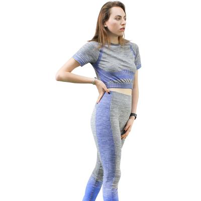 China New Arrival Breathable Workout Set Yoga Leggings High Waist Short T-shirt Women Sports Women Breathable Sets for sale