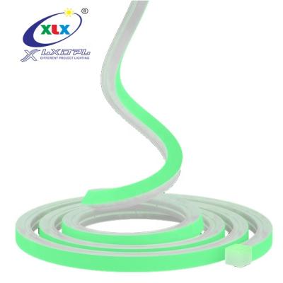 China Decoration/signage EU USA patent silicone neon led flex 10mm width 12v/24v park decoration flex neon light for sale