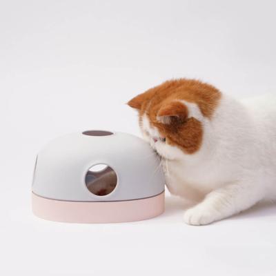 China Sustainable Drop Shipping Ensure Ball Hola Cute And Innovative Smart Pet Cat Toy Turntable Windmill for sale