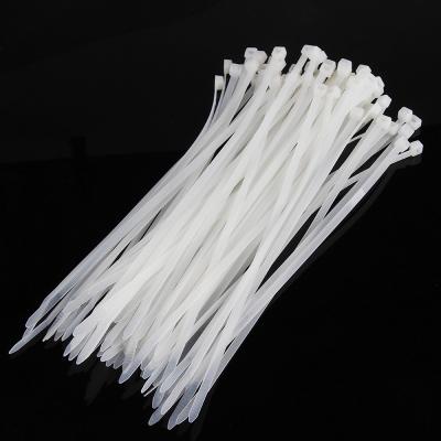 China 5*250mm eco-friendly most popular items standard cable ties for sale