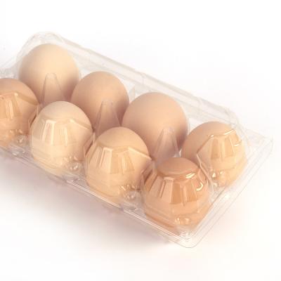 China Wholesale Disposable Chicken Egg Blister Packing Square Clamshell Clear Plastic Define Logo And Picture for sale