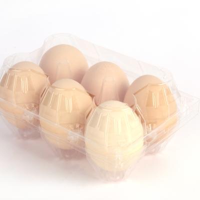 China Disposable Wholesale Custom Egg Packaging Custom Capacity And Printing Logo Square Clam Shell Transparent Boxes for sale