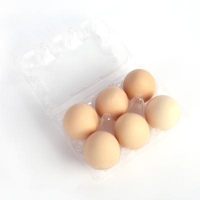 China Disposable High Quality Universal PVC PET PS PP Folding Egg Boxes Transparent Custom Printing Logo And Picture for sale