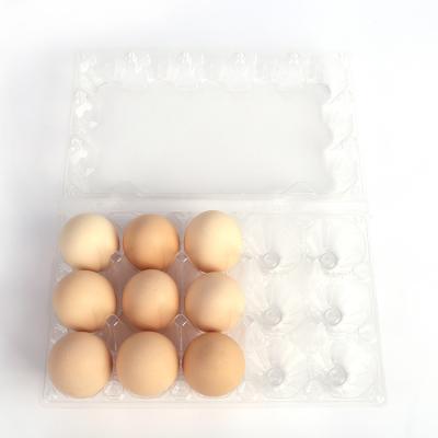 China Custom Wholesale Disposable Food Grade Transparent Container Clear Plastic Egg Clam Shell Box For Eggs for sale