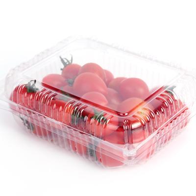 China Wholesale Custom Disposable Transparent Strawberry Container Eco-Friendly Transparent Clamshell Clear Plastic Box For Fruit Vegetable for sale