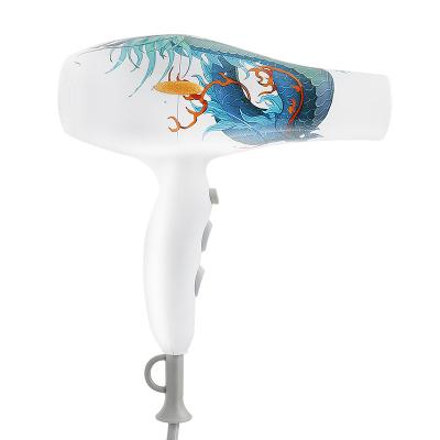 China Hot Selling Professional Ionic Hair Dryer Professional Salon AC Motor Concentrator Nozzle Stage Hair Dryer Price for sale