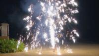 China Fontes dos fogos de artifício do cartucho do chá da pirotecnia Un0336 1.4g da unidade do consumidor exteriores à venda