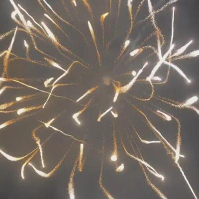 Cina Display cinese professionale fuochi d'artificio Mortero Artiglieria Conchiglie Prodotti pirotecnici Conchiglie da 6 pollici 2024 in vendita