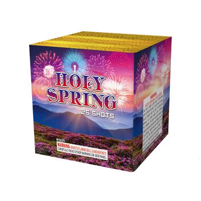 China Factory New Cake Fireworks Pyrotechnics 25 Shots Cake Fireworks Chinese Djibouti Wholesale Fireworks 2025 for sale