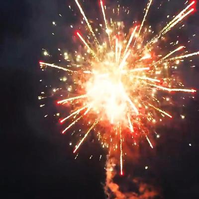 Cina Fuochi d'artificio cinesi al dettaglio Fuochi d'artificio pirotecnici nuovi Fuochi d'artificio 2025 Fabbrica 100 colpi Fuochi d'artificio torta per la festa di Capodanno in vendita