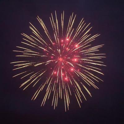 Cina Mandarino fuochi d'artificio 2025 fabbrica cinese Liuyang pirotecnica visualizzare proiettili fuochi d'artificio 8 pollici 1.3G Professionale fuochi d'artificio conchiglia in vendita