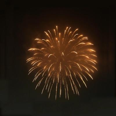 China Liuyang Hoogwaardige 1.3G professionele mortieren Pyrotechnisch display Artillerie granaten Vuurwerk te koop Vuurwerk schelp Te koop