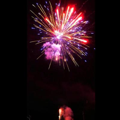 China Chinese Hunan Factory Groothandel 48 Shots Long Time Cake Fireworks Cake Pyrotechniek 1,4g Outdoor Fireworks Te koop