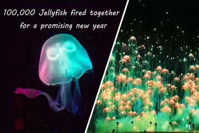 Chine Feux d'artifice Skyshots de Toy Firework Jellyfish Consumer Novelty de nouvelle année pyrotechnique à vendre