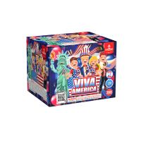 Chine Feux d'artifice de gâteau du consommateur d'exportation 13 tirs 350G pour épouser /Event à vendre