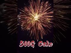 Fireworks Liuyang Pyrotechnics 2 Inch 12 Shots 500g Consumer Cake Fireworks For Celebration