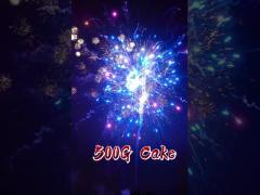 2025 Liuyang Factory Custom Pyrotechnics Chinese Firework Outdoor 500G 20 Shots Cake Fireworks