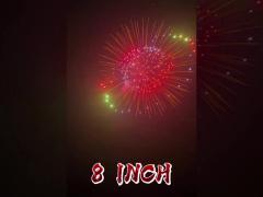 Liuyang Factory Professional Fireworks Pyrotechnics Shell 8 Inch Display Fireworks Shells 2025