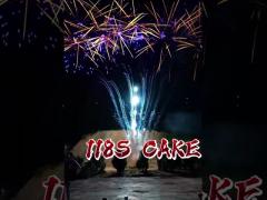 118 Shots Consumer Cake Fireworks Wedding Party Cake Fireworks Pyrotechnics Festival Celebration