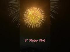 Festivals And Celebrations 2“ 2.5“ 3“ 4“ 5“ 6“ 8‘‘ Inch Display Shells 1.3g Professional Fireworks