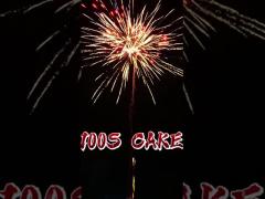 Liuyang Pyrotechnics 100 Shots Consumer Wholesale Cake Fireworks 2025 New Fireworks Cake