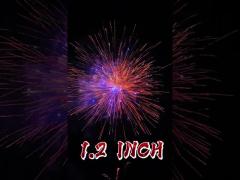 China Pyrotechnics 1.2 Inch Fireworks 1.4g Consumer Cake Fireworks Factory Price Outdoor Fireworks