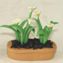 China Model Ceramic pot Flower CF42 for sale