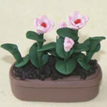 China Model Ceramic pot Flower CF44 for sale