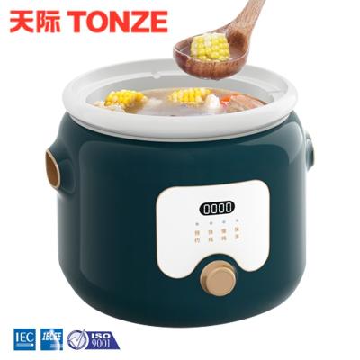 China Vacuum Under Programmable Electric Outdoor Ferment Slow Cooker for sale