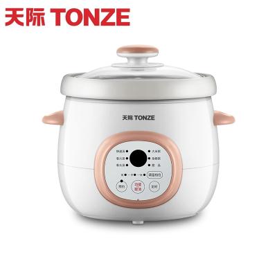 China Outdoor Wholesale Exquisite Microcomputer Control Mini Pot Jug Tonze Slow Cooking Machine for sale