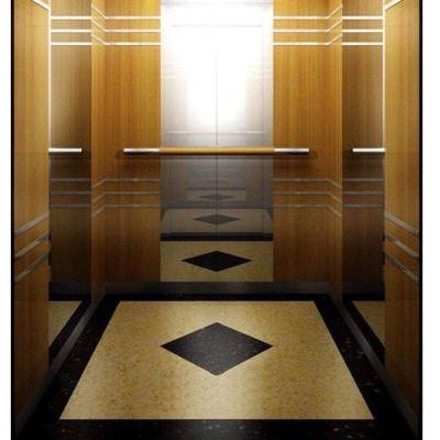 China Hrdradlic Modern Elevator Commercial Construction Passenger Elevator for sale